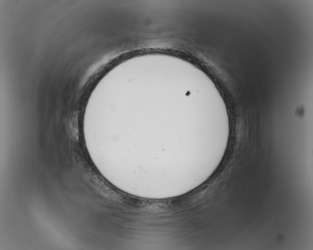 X0000115641262200912221303