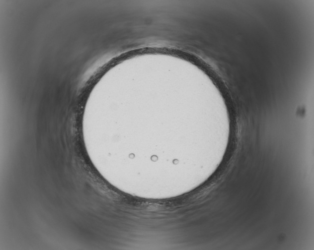 X0000115641263200912221303