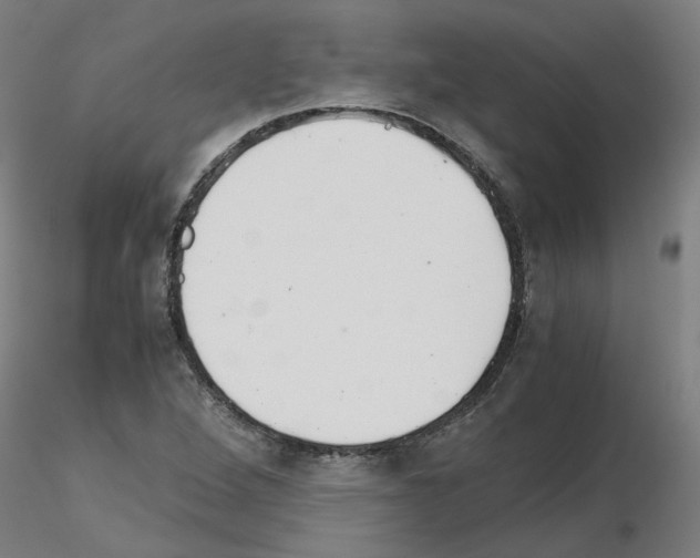 X0000115641264200912221302