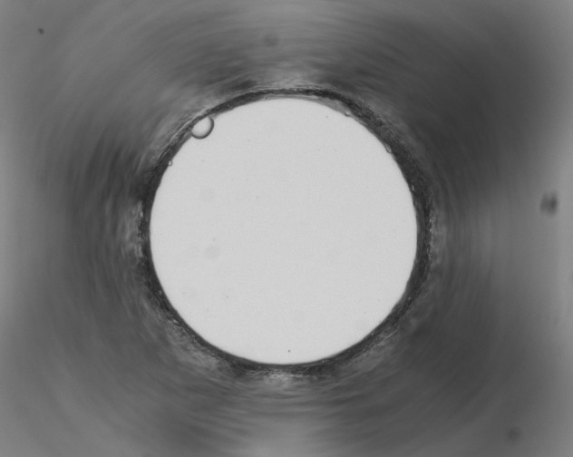X0000115641265200912221302