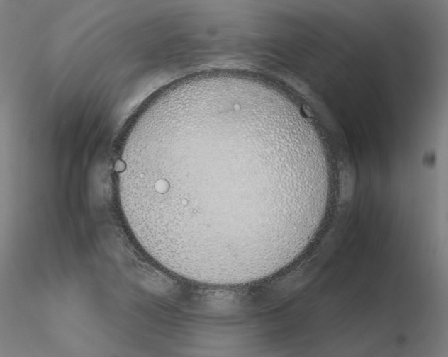 X0000115641266200912221302