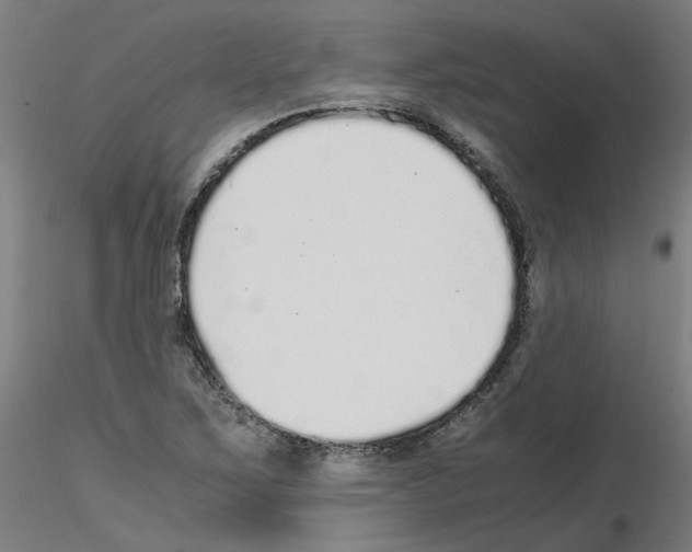 X0000115641267200912221302