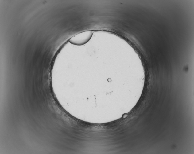 X0000115641268200912221302