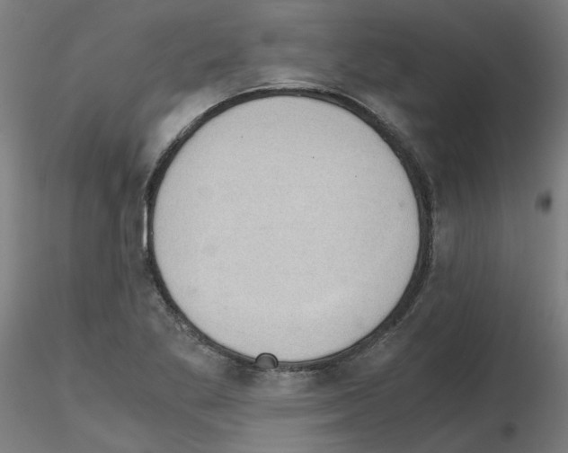 X0000115641269200912221302