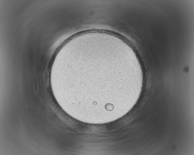 X0000115641271200912221302