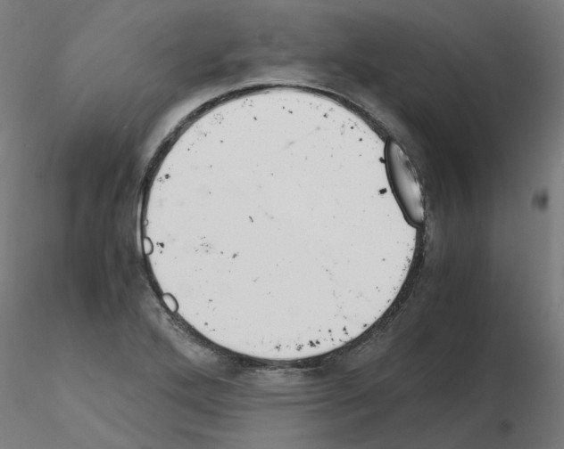X0000115641272200912221302