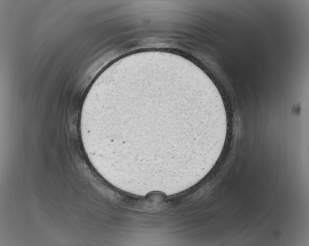 X0000115641273200912221302
