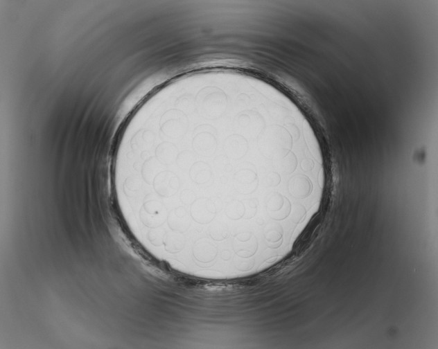 X0000115641274200912221302