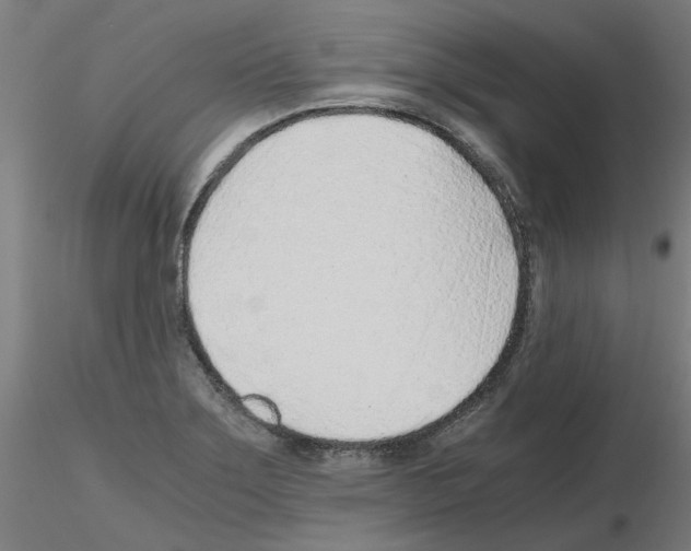 X0000115641275200912221302