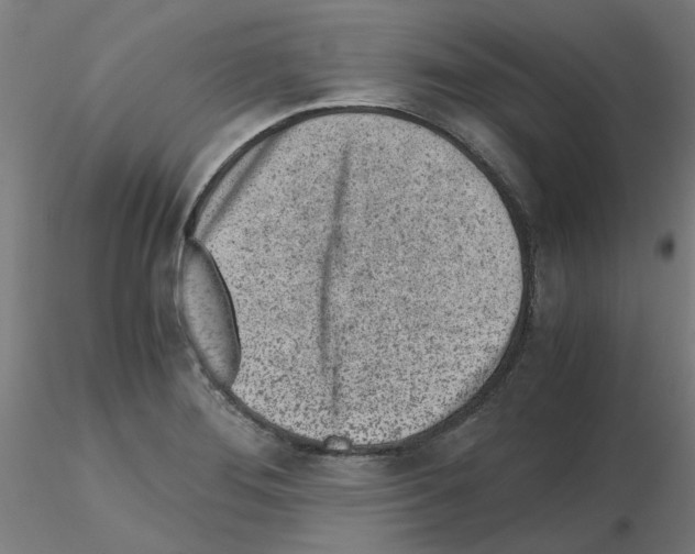 X0000115641276200912221302