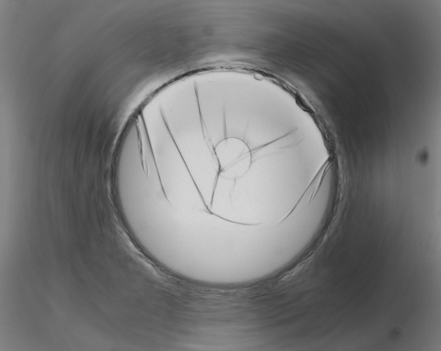 X0000115641277200912221302