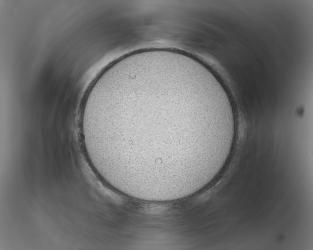 X0000115641278200912221302