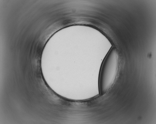 X0000115641281200912221302