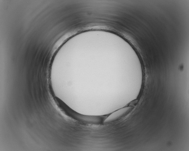 X0000115641282200912221302