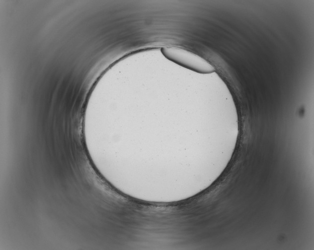 X0000115641284200912221302