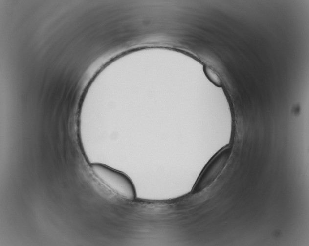 X0000115641288200912221302