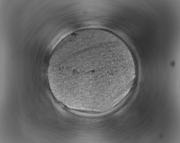 X0000115641289200912221302