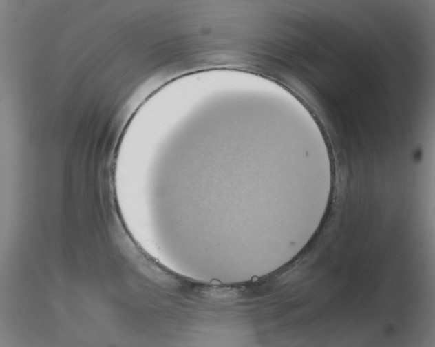 X0000115641291200912221302