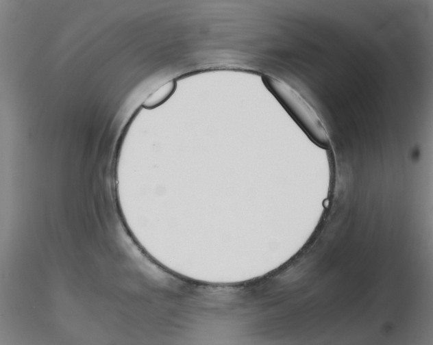 X0000115641293200912221302