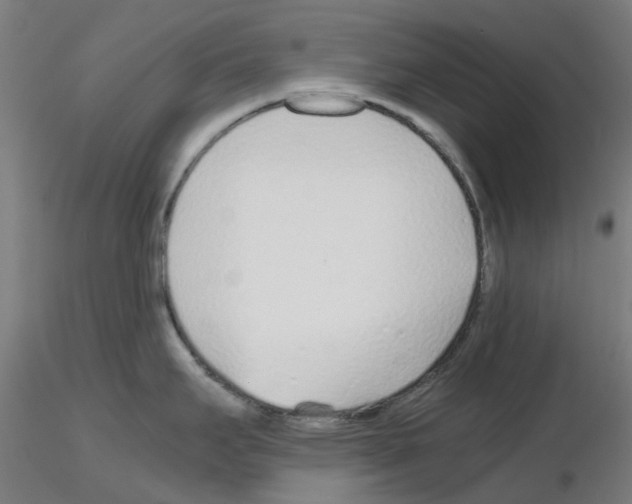 X0000115641295200912221302