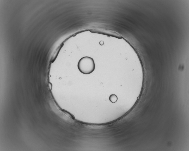 X0000115641296200912221302
