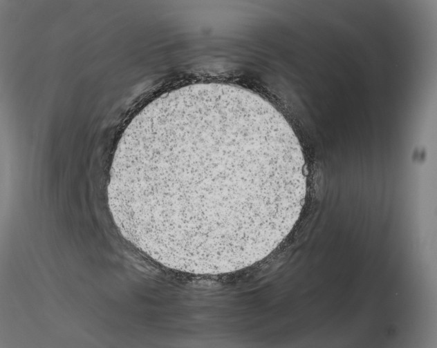 X0000115641297200912221301