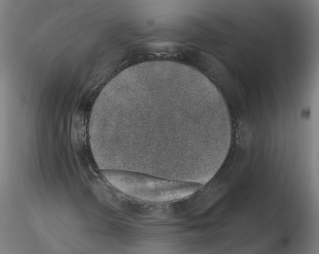 X0000115641298200912221301