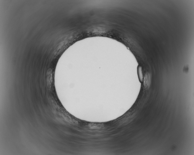 X0000115641299200912221301