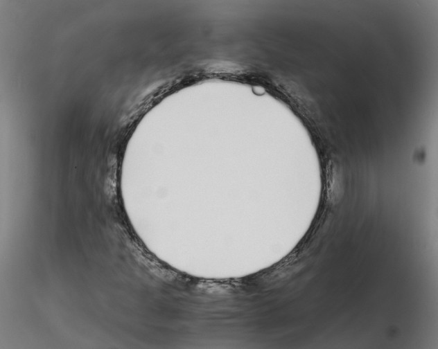X0000115641301200912221301