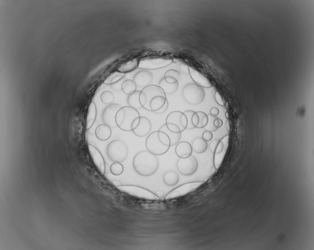 X0000115641302200912221301