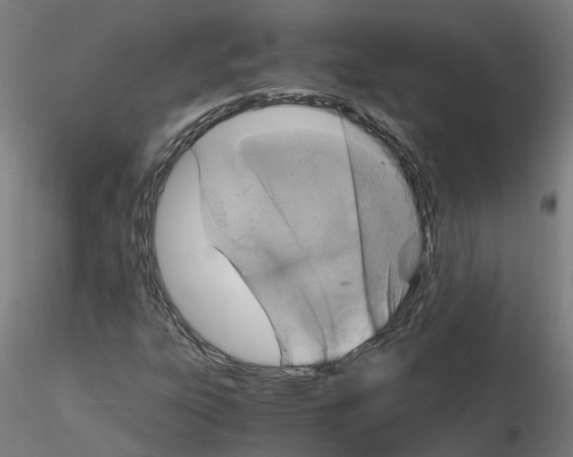 X0000115641303200912221301