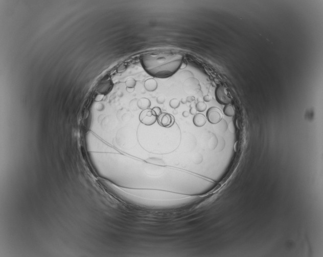 X0000115641305200912221302