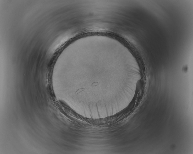 X0000115641306200912221302