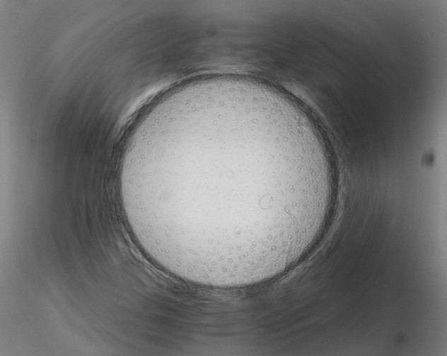X0000115641307200912221302