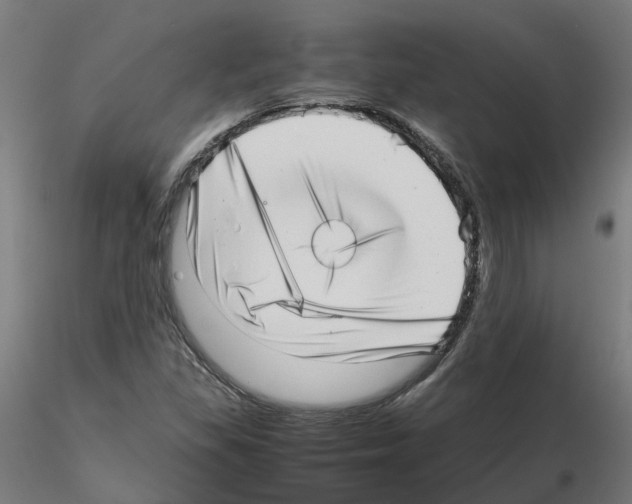 X0000115641309200912221302