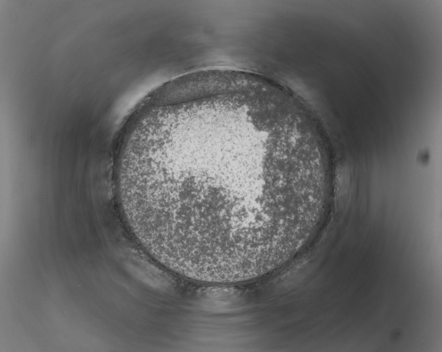 X0000115641310200912221302