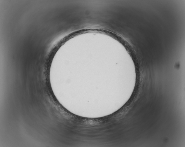 X0000115641311200912221302