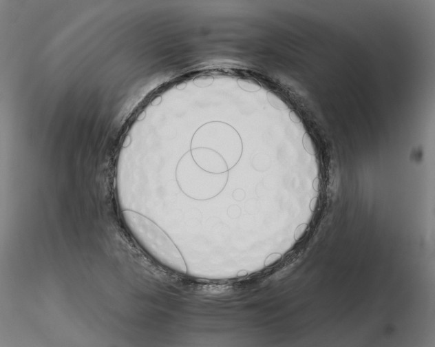X0000115641313200912221302