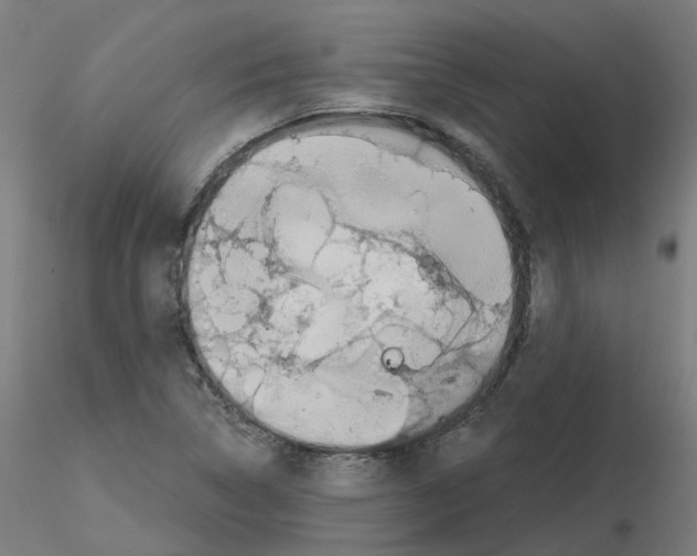 X0000115641314200912221302