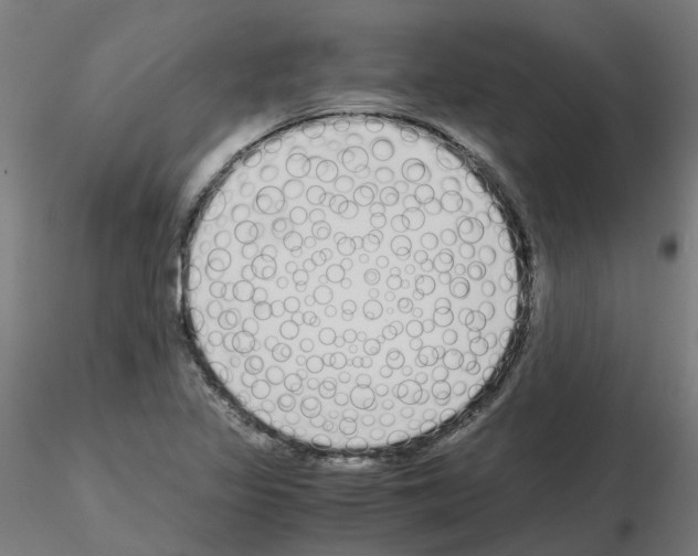 X0000115641317200912221302