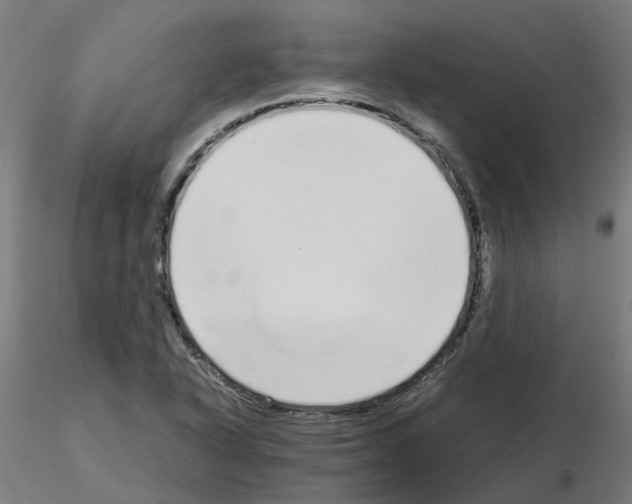 X0000115641318200912221302