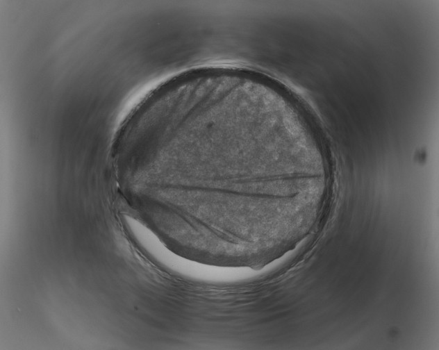 X0000115641319200912221302