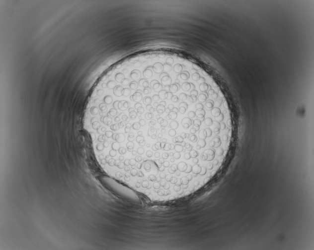X0000115641321200912221302