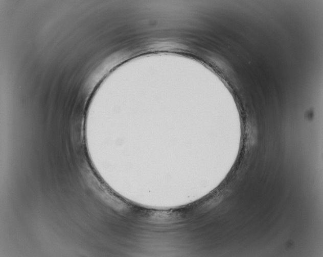 X0000115641322200912221302