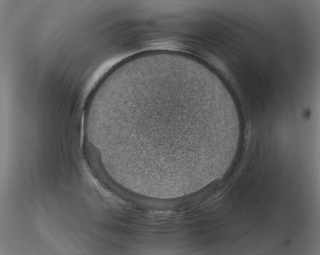 X0000115641323200912221302