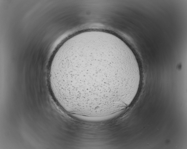 X0000115641326200912221302