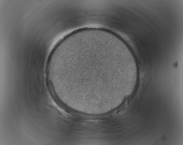 X0000115641327200912221302
