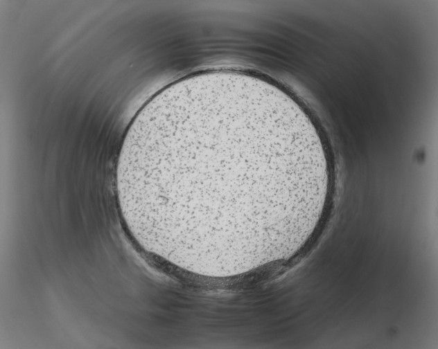 X0000115641329200912221302