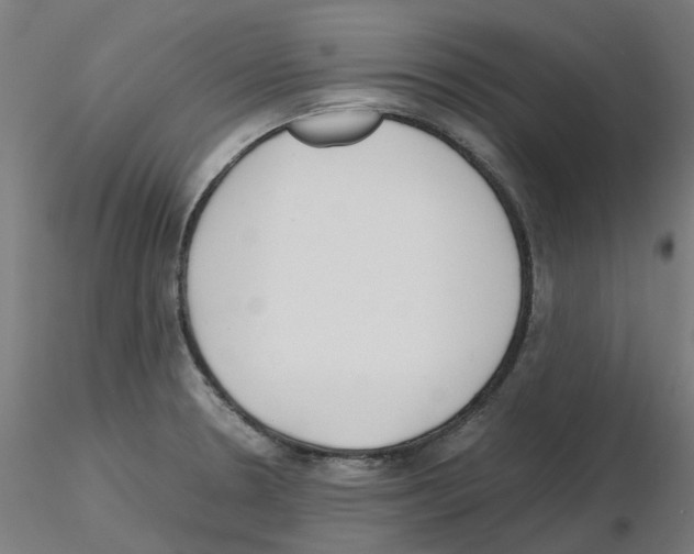 X0000115641330200912221302