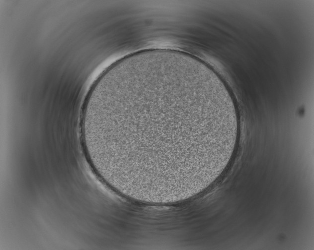 X0000115641331200912221302